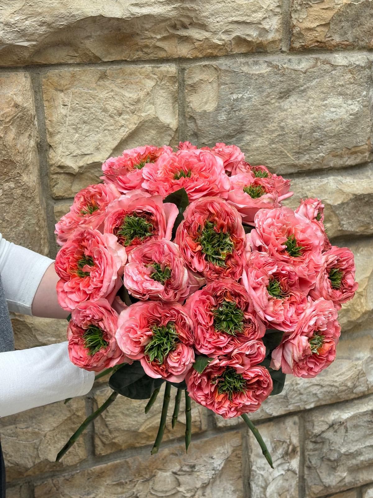 Mandarin X-Pression Rose