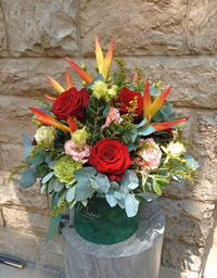 Flower Box COLORFUL