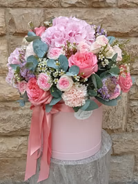 Blush Elegance